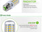 Light Bulb 220V