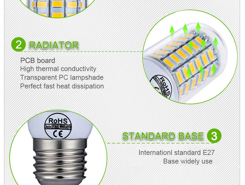 Light Bulb 220V