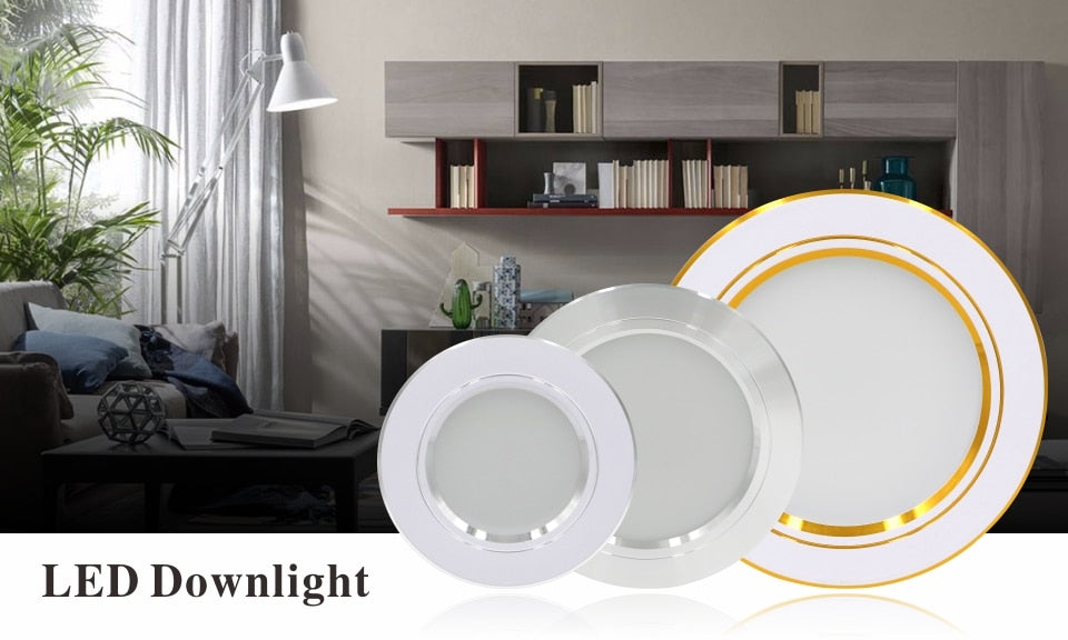 LED Downlight