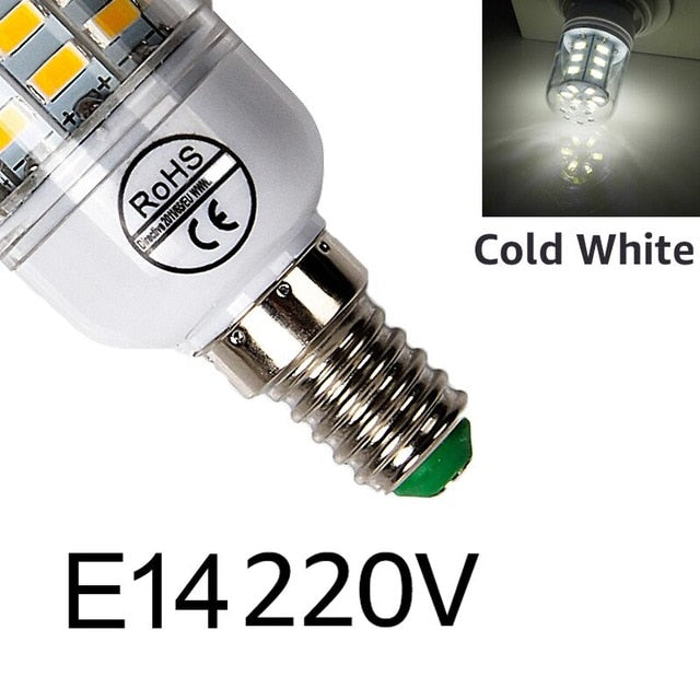 Light Bulb 220V