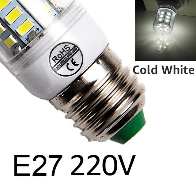 Light Bulb 220V